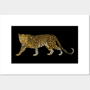 Wild Leopard Panther Posters and Art